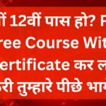 pnb-free-course-with-certificate